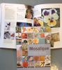 Livre 300 astuces, techniques et secrets de fabrication en mosaque de Bonnie Fitzgerald