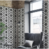 Mosaïque décor SOPRANO hexagone noir et blanc mat satiné par 1 M²
